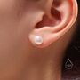 Sterling Silver Genuine Fresh Water Pearls Stud Earrings, thumbnail 5 of 12