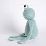 Freddy The Frog Crochet Kit, thumbnail 2 of 5