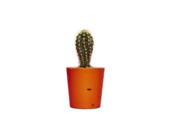 Concrete Pot Small With Cactus/ Succulent In Orange, 3 of 5