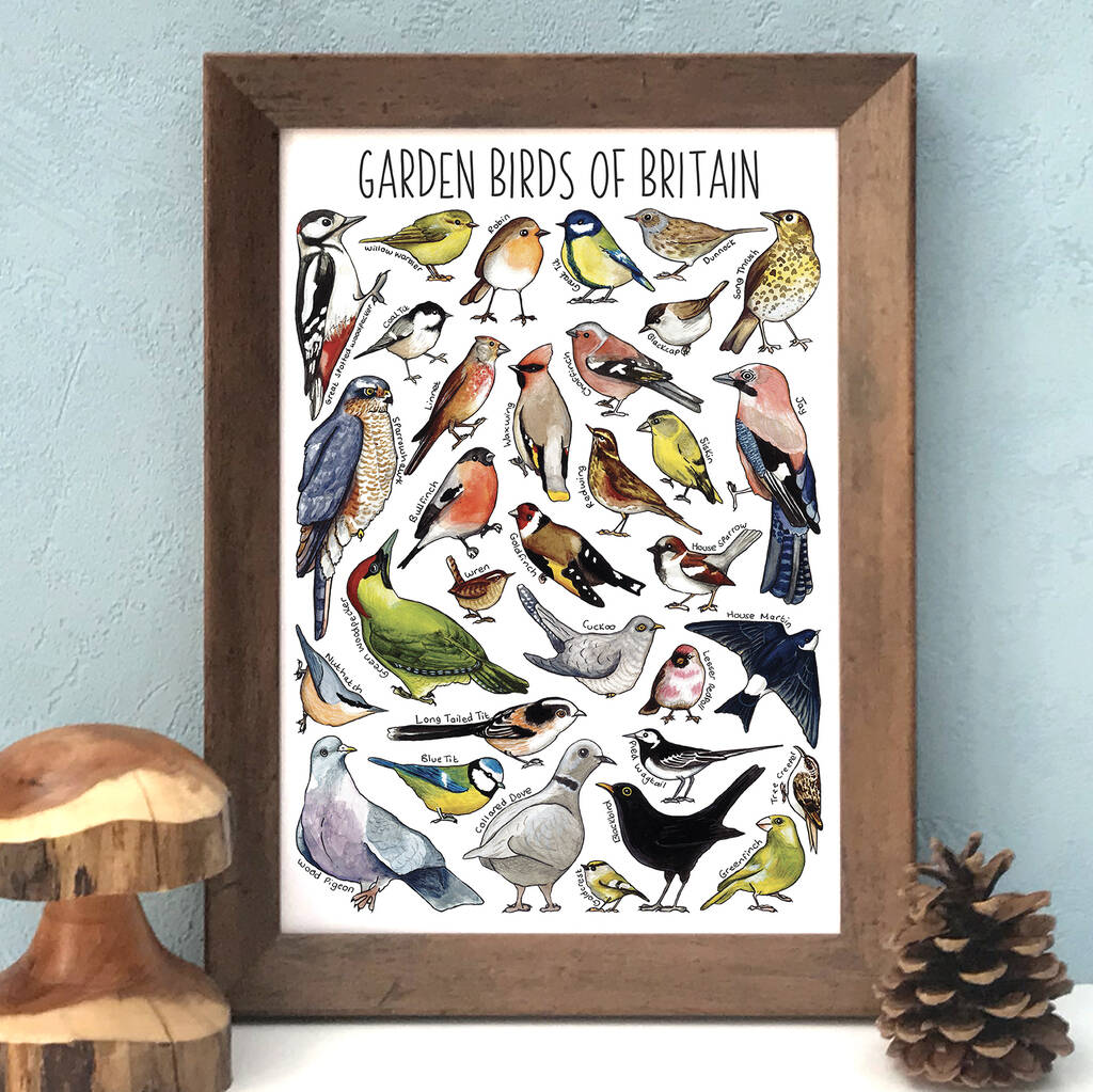 Garden Birds Of Britain Wildlife Watercolour Print, 1 of 8