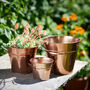 Personalised Set Of Copper Metal Buckets, thumbnail 2 of 2