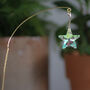 Star Suncatcher, Plant Gift, thumbnail 2 of 5