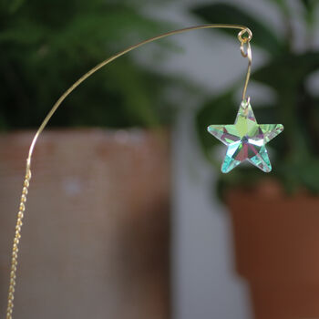 Star Suncatcher, Plant Gift, 2 of 5