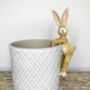 Bunny Plant Pot Hugger, thumbnail 1 of 2
