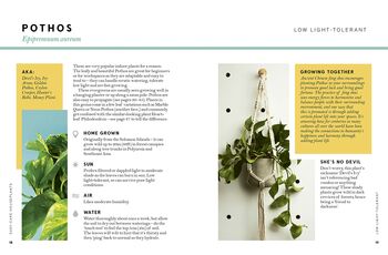 Hi Cacti: Growing Houseplants And Happiness Book, 4 of 12