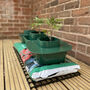 Three Thirsty Tomato Grow Bag Pots Watering Aid Kit, thumbnail 1 of 11