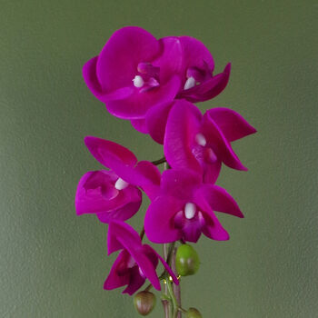 Pink Silver Artificial Orchid 46cm Real Touch, 2 of 3