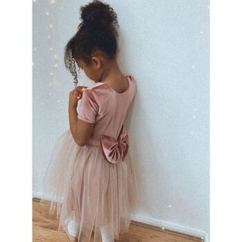 Pink Velvet Soft Tulle Dress, 10 of 10