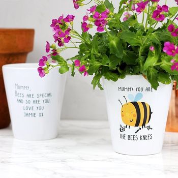 Mummy You Are The Bees Knees Plant Pot, 2 of 5