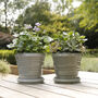 Lined Glazed Ceramic Pot With Saucer, thumbnail 2 of 2