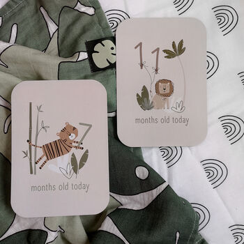 Safari Jungle Monthly Moments Cards, 6 of 12
