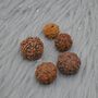 Seven Faced Nepali Rudraksha Beads Jewelry, thumbnail 3 of 6