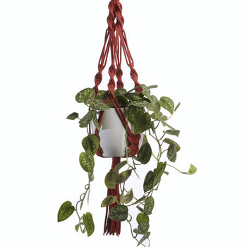 Recycled Macramé Plant Hanger, 3 of 8