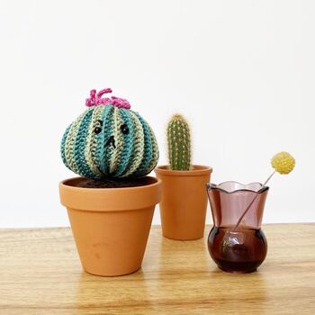 Personalised Cotton Crochet Cranky Cactus Plant, 5 of 5