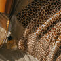 Leopard Print Border Scarf, thumbnail 2 of 2
