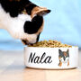 Cute Cat Personalised Pet Bowl, thumbnail 6 of 6