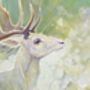 White Hart Rising, thumbnail 8 of 8