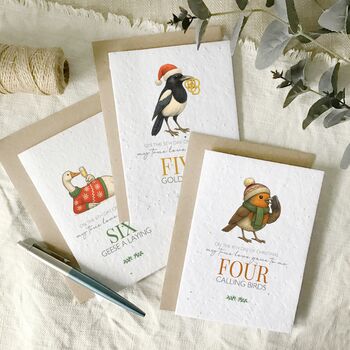 Fun Twelve Days Of Christmas Multi Pack Of Cards, 2 of 4