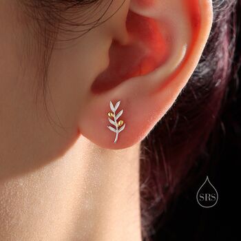 Olive Leaf Stud Earrings In Sterling Silver, 5 of 12