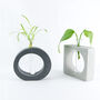 Concrete Plant Propagation Test Tube Vase, thumbnail 9 of 9