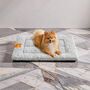 Warm Dog Cat Bed Crate Mattress Pet Pad, thumbnail 1 of 6