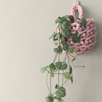 Hanging Plant Pot Crochet Kit, 4 of 7