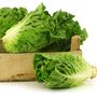 Salad Plants Lettuce 'Little Gem' Plug Plant Packs, thumbnail 1 of 5
