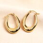 Stainless Steel Oval Hoop Earrings, thumbnail 1 of 4