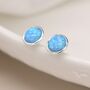 Sterling Silver Blue Opal Stud Earrings, thumbnail 1 of 8