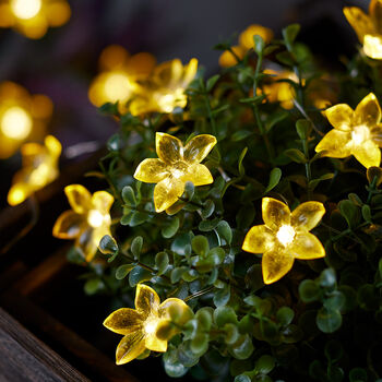 Dainty Flower Micro Fairy Lights, 2 of 2