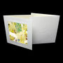 Four Hand Painted Greeting Cards 'Abstract Seven', thumbnail 2 of 4