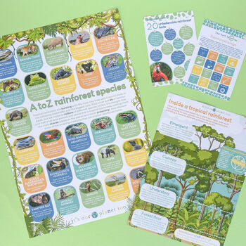 Children's Eco Activity Box Totally Tropical Rainforest, 2 of 9