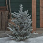 3ft Dual LED Snowy Outdoor Christmas Tree Stake, thumbnail 5 of 5