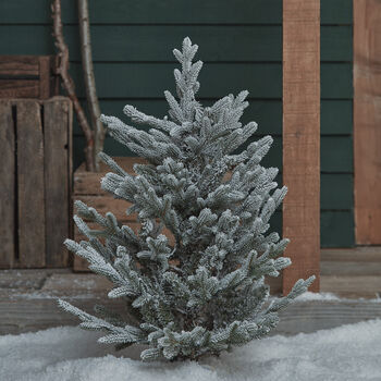 3ft Dual LED Snowy Outdoor Christmas Tree Stake, 5 of 5