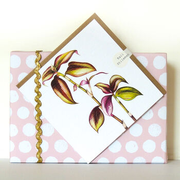 Tradescantia Greetings Card, 4 of 5
