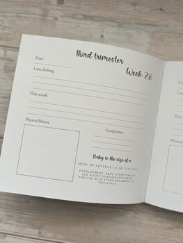Pregnancy Journal | From Bump To Baby Book | Mum To Be, 10 of 12