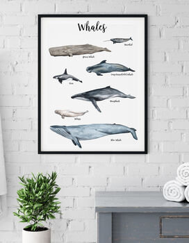 Whales Of The Oceans Illustrated Watercolour Art Print, 2 of 5