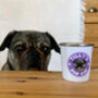 Personalised Pet Dog Puppaccino Pup Cup, thumbnail 5 of 12