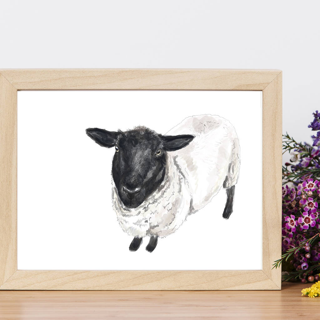 Sheep Art Print By Rebekah Marshall Artist & Illustrator ...