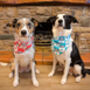 Blue Love Bug Bear Dog Bandana, thumbnail 7 of 8