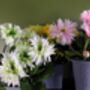Artificial Potted Daisy Flowering Plant White, thumbnail 3 of 6