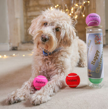 Personalised Dog Tennis Balls, 7 of 12