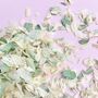 Ivory And Green Wedding Confetti | Biodegradable Petals, thumbnail 2 of 4