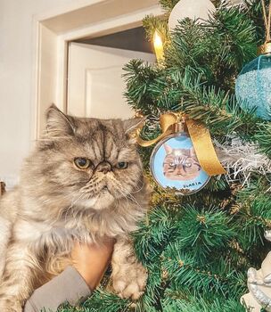 Personalised Pet Portrait Bauble, 2 of 9