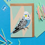 Bird Watching Wrapping Paper, thumbnail 2 of 5