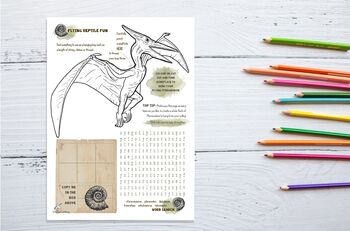 Dinosaur Colour In Activity Craft Set, 3 of 11