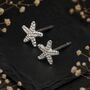 Sterling Silver Dainty Starfish Stud Earrings, thumbnail 3 of 9