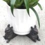 Set Of Three Cute Mouse Pot Stands In Gift Pouch, thumbnail 1 of 6