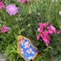 Decorated Oyster Shell, thumbnail 2 of 3