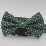 Dark Green Polkadot Dog Bow Tie, thumbnail 2 of 6